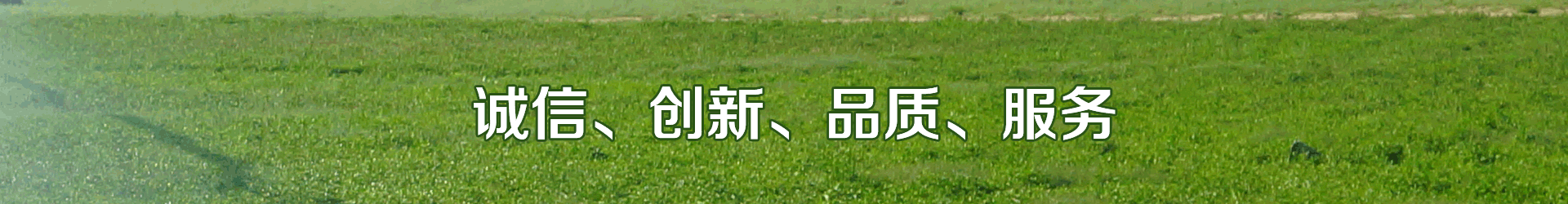 好色先生下载安装係統