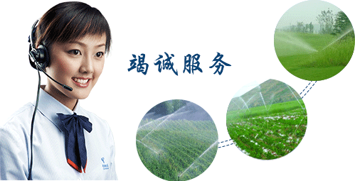  節水好色先生下载安装