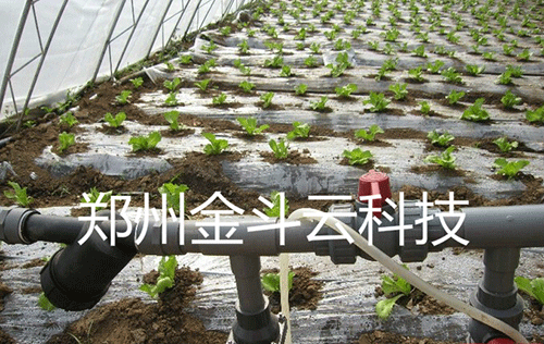 農業好色先生下载安装