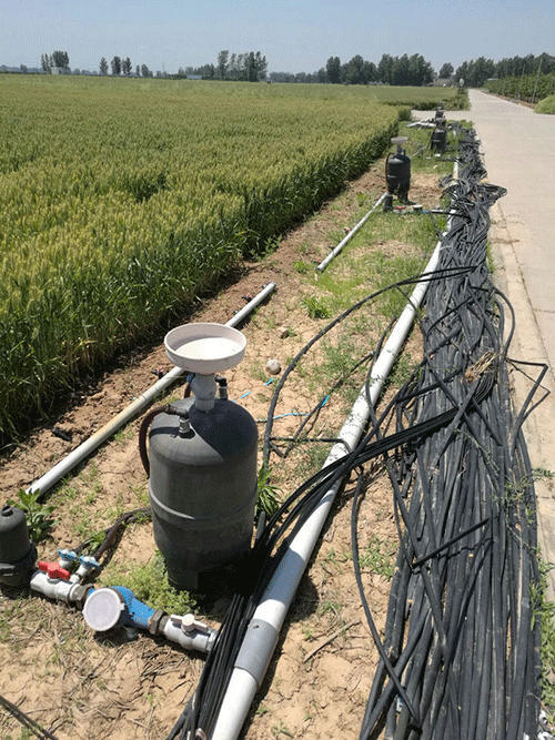 農業好色先生下载安装