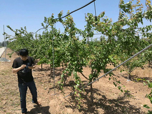 農業好色先生下载安装
