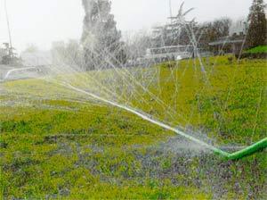 節水好色先生下载安装