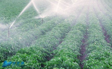 好色先生下载安装係統
