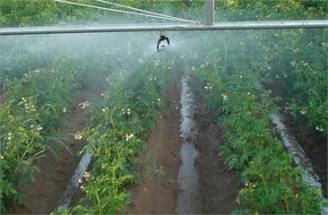 好色先生下载安装係統廠家