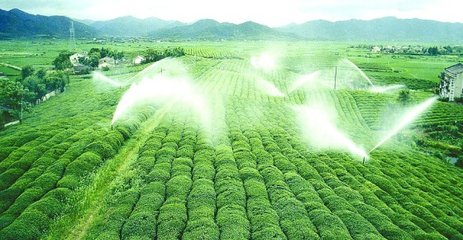好色先生下载安装係統