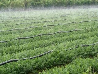農業好色先生下载安装