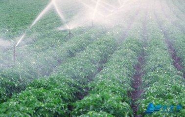 節水好色先生下载安装
